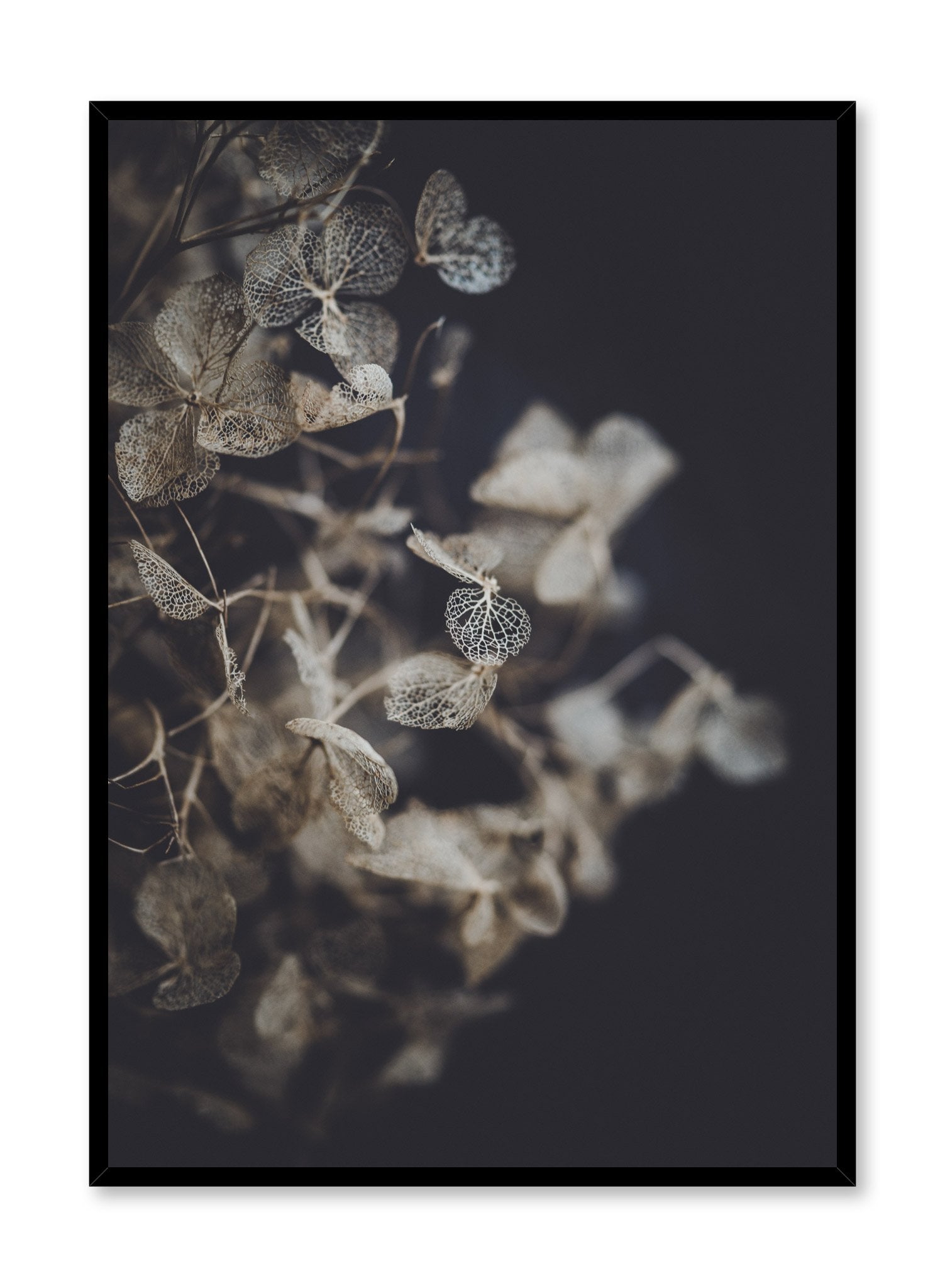Beautiful Hydrangea Flower Poster - High-Quality Botanical Wall Art for Home, Office & Garden Decor - Perfect for Living Room, Bedroom & Wedding Decorations