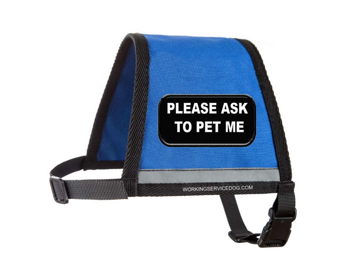 Please Ask to Pet Me