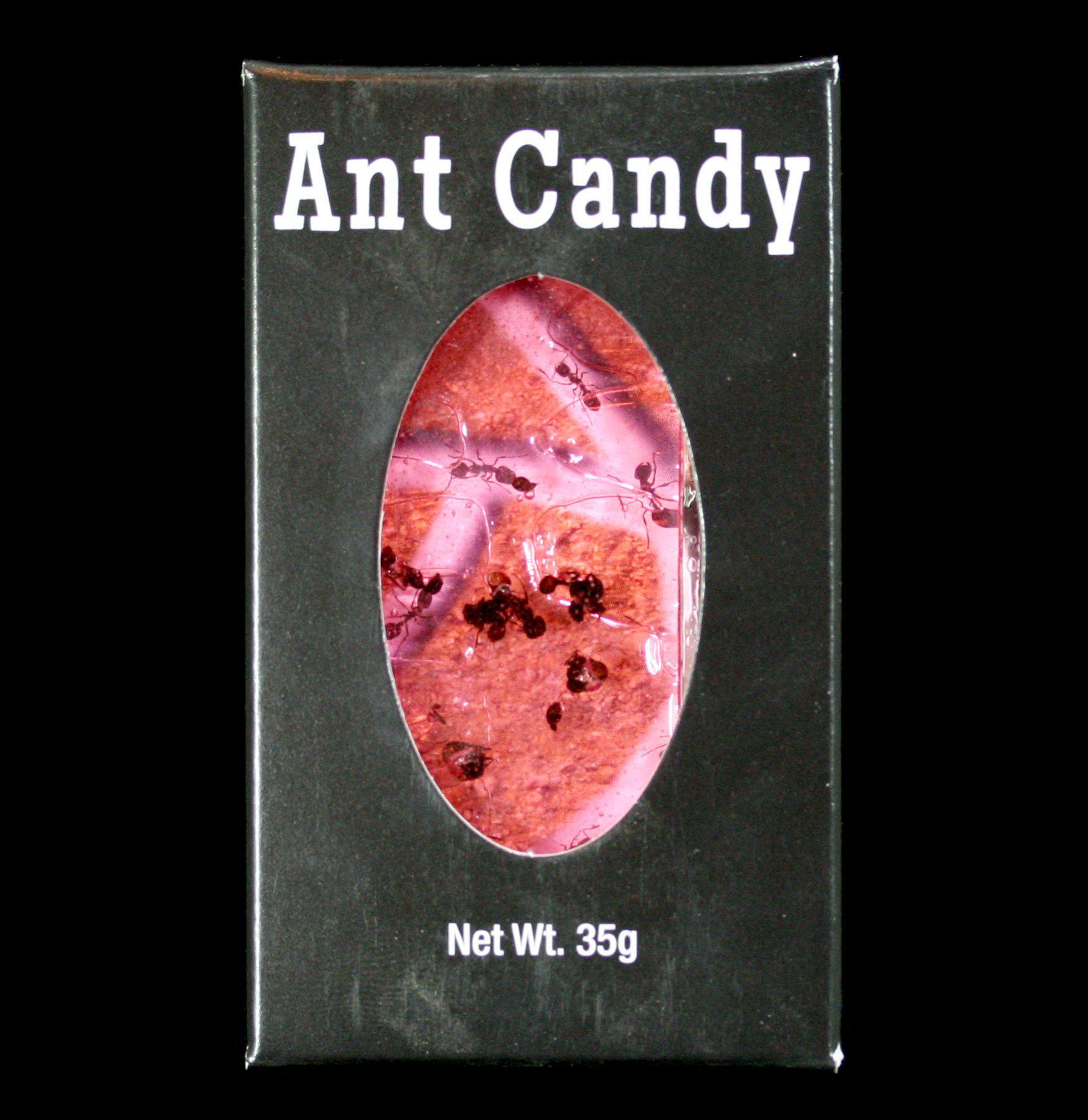 Ant Candy - Sweet & Crunchy Edible Ant Treats for Unique Snacking & Culinary Adventures - Perfect for Parties, Gifts & Exotic Food Lovers