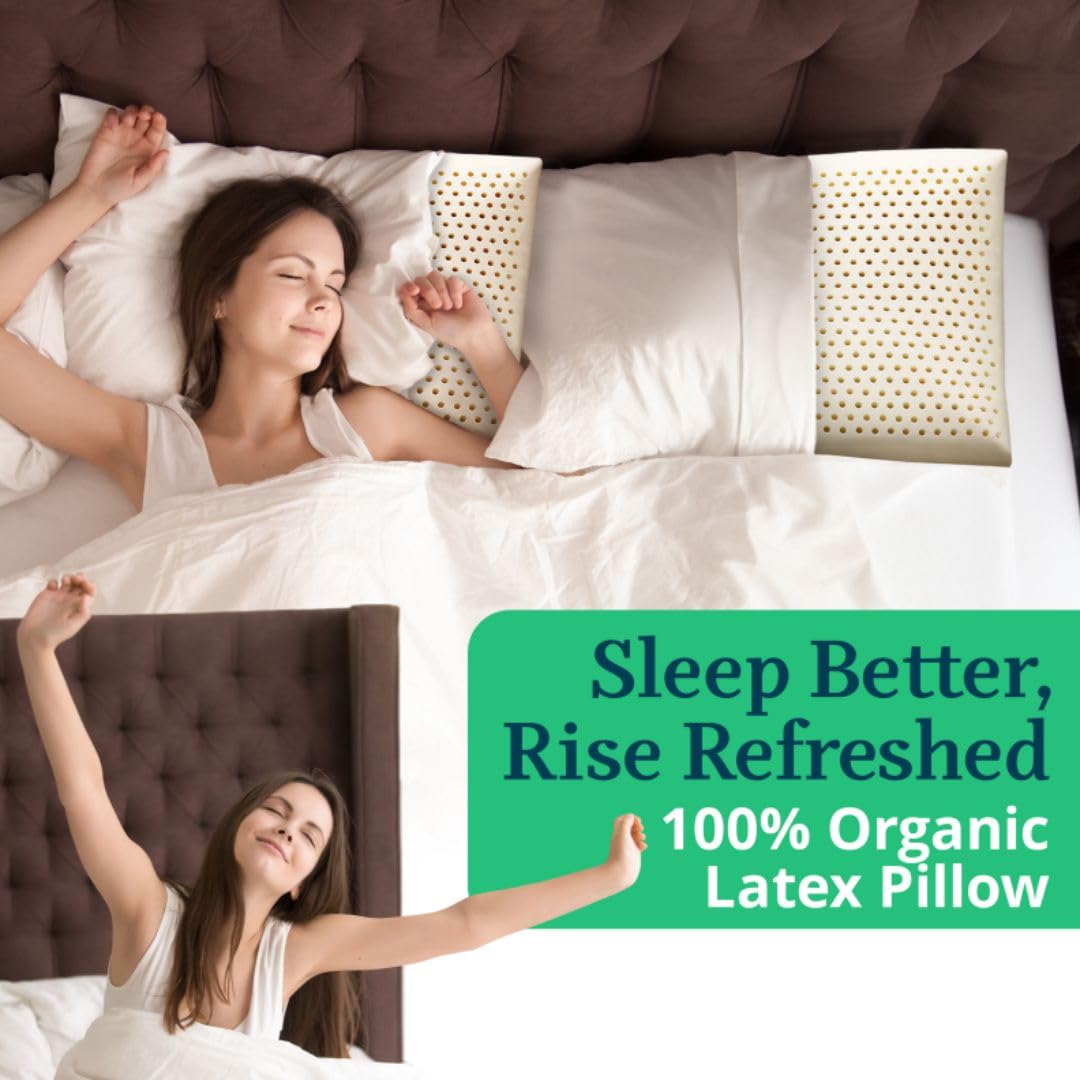 GOTS Certified Organic Talalay Latex Pillow with Organic Cotton Cover - Medium Standard Size for Neck Pain Relief & Head Support | Ideal for Side, Back & Stomach Sleepers | Perfect for Home, Office & Travel Use