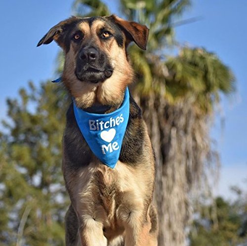 Bitches Love Me Dog Bandana - Adjustable One Size Fits Most Medium to Large Dogs, Turquoise Pet Bandana for Walking, Grooming & Photo Shoots
