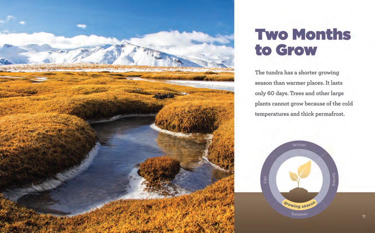 Arctic Adventure Book - 9781640260597 - Perfect for Winter Reading & Educational Gifts