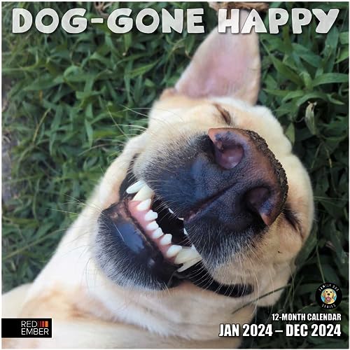01 - Dog-Gone Happy
