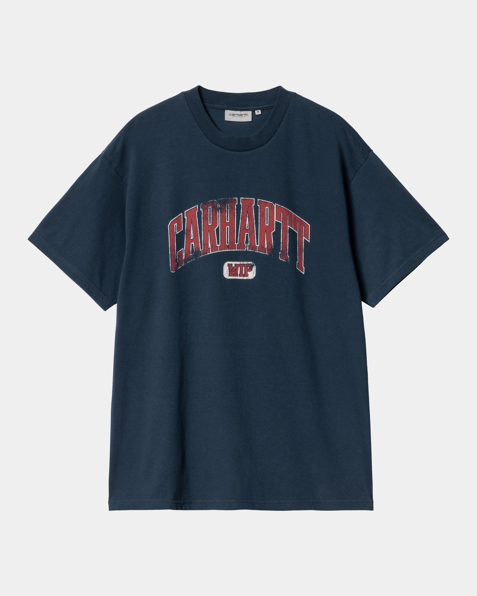 Premium Lecture T-Shirt for Men & Women | Soft Cotton Ink Print Tee | Perfect for School, College, and University Campus Wear