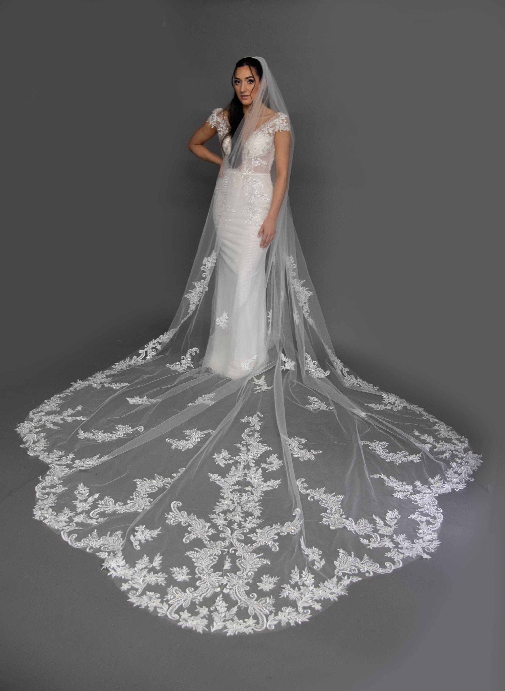 CELINE Lace Royal Cathedral Bridal Veil - Elegant Wedding Veil for Bride, Perfect for Church Ceremonies & Formal Weddings