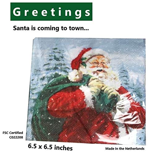24-Ply Santa Angel Napkins - 13