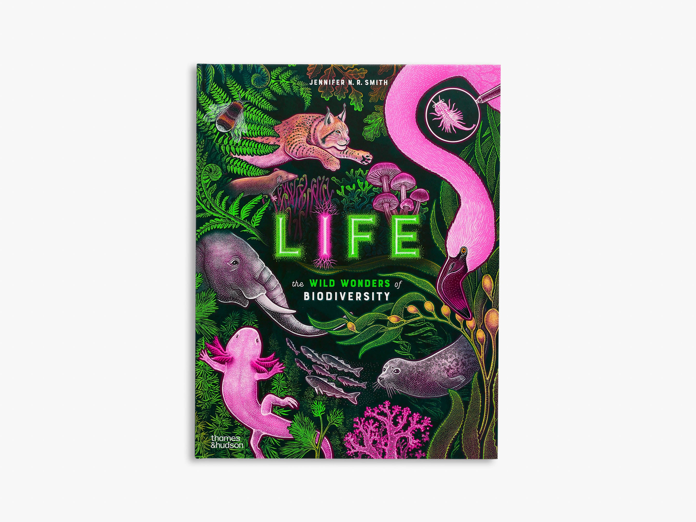 Life (Wild Wonders) - Explore Nature's Beauty | Perfect for Home Decor, Gifts & Wildlife Enthusiasts