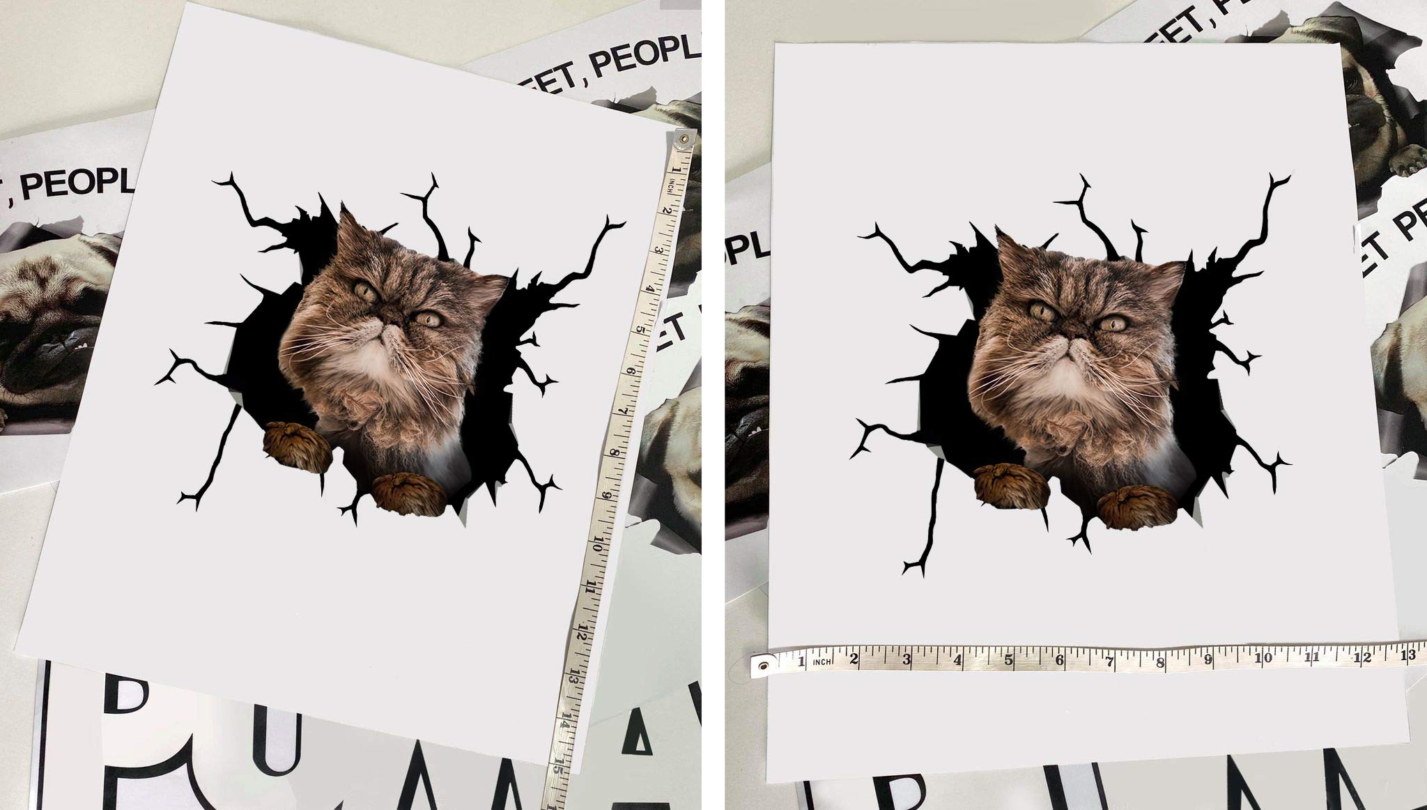 Persian Cat Car Decals - Pack of 2 Large 12
