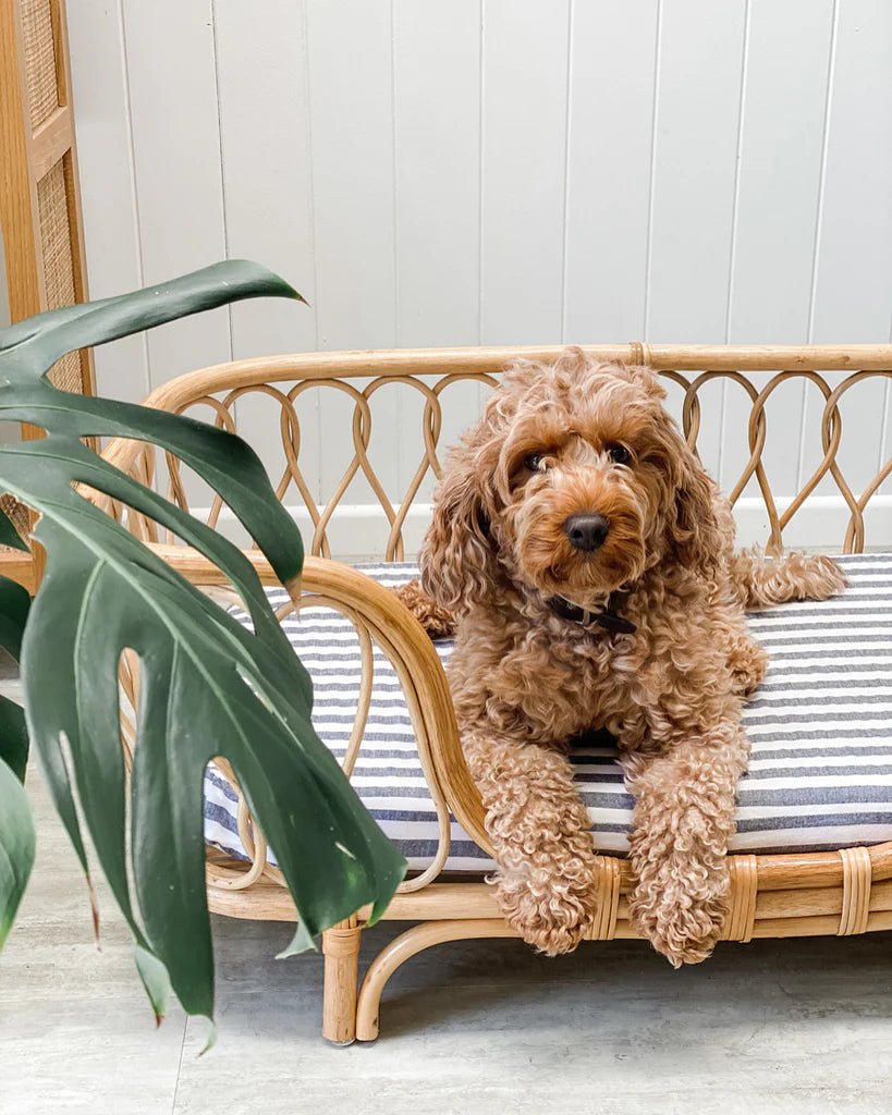 Premium Dog Bed Sheet Cover for Rattan Beds - Washable, Breathable Pet Bed Protector - Perfect for Indoor/Outdoor Use in Living Room, Patio or Kennel