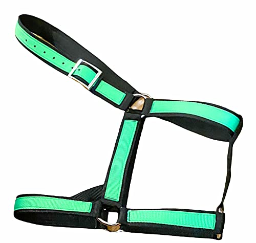 Lime Green