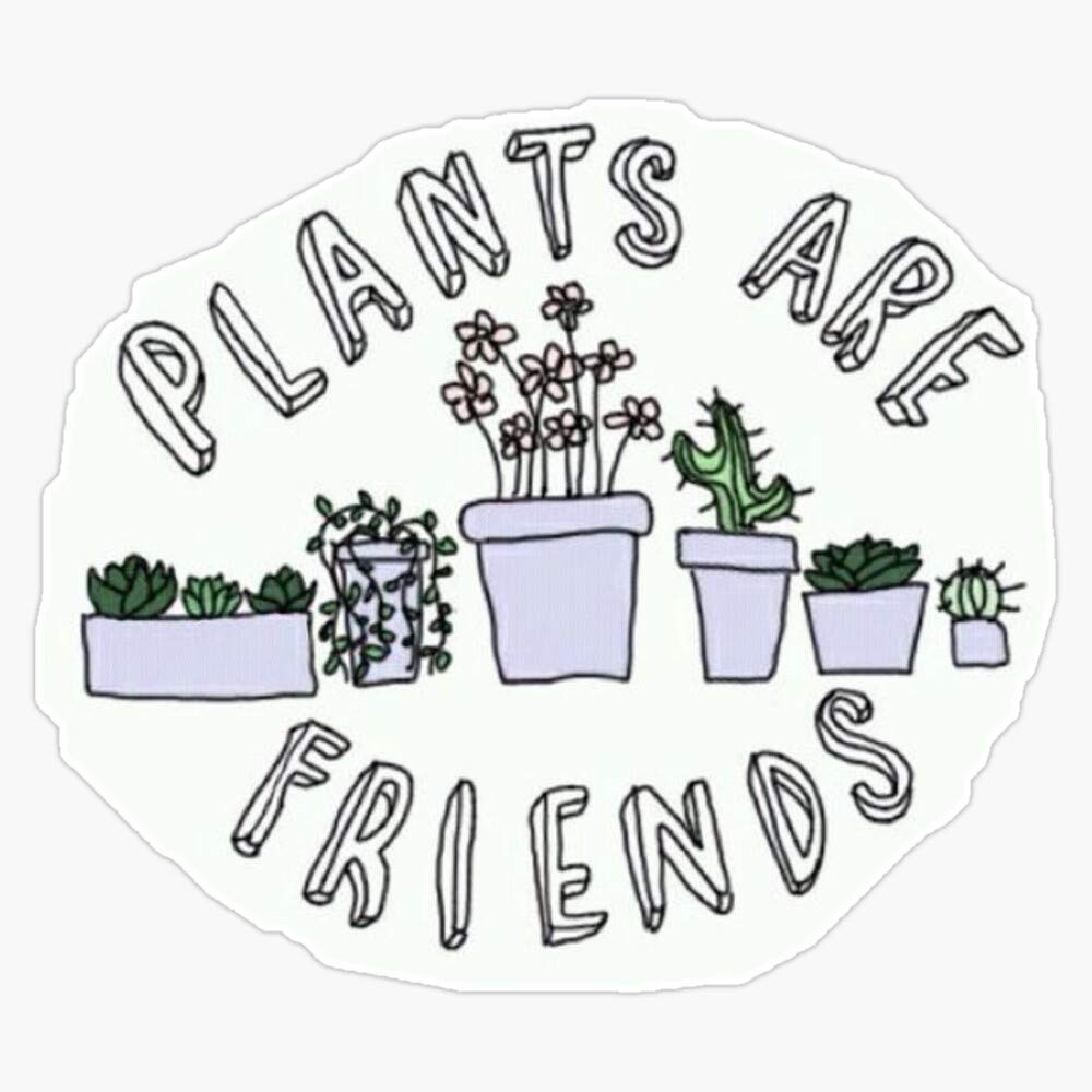 Vegan Waterproof Vinyl Sticker - Plants Are Friends Decal for Car, Laptop, Wall, Window, Bumper - 5 Inch - Perfect for Eco-Friendly Home Decor & Personalizing Devices