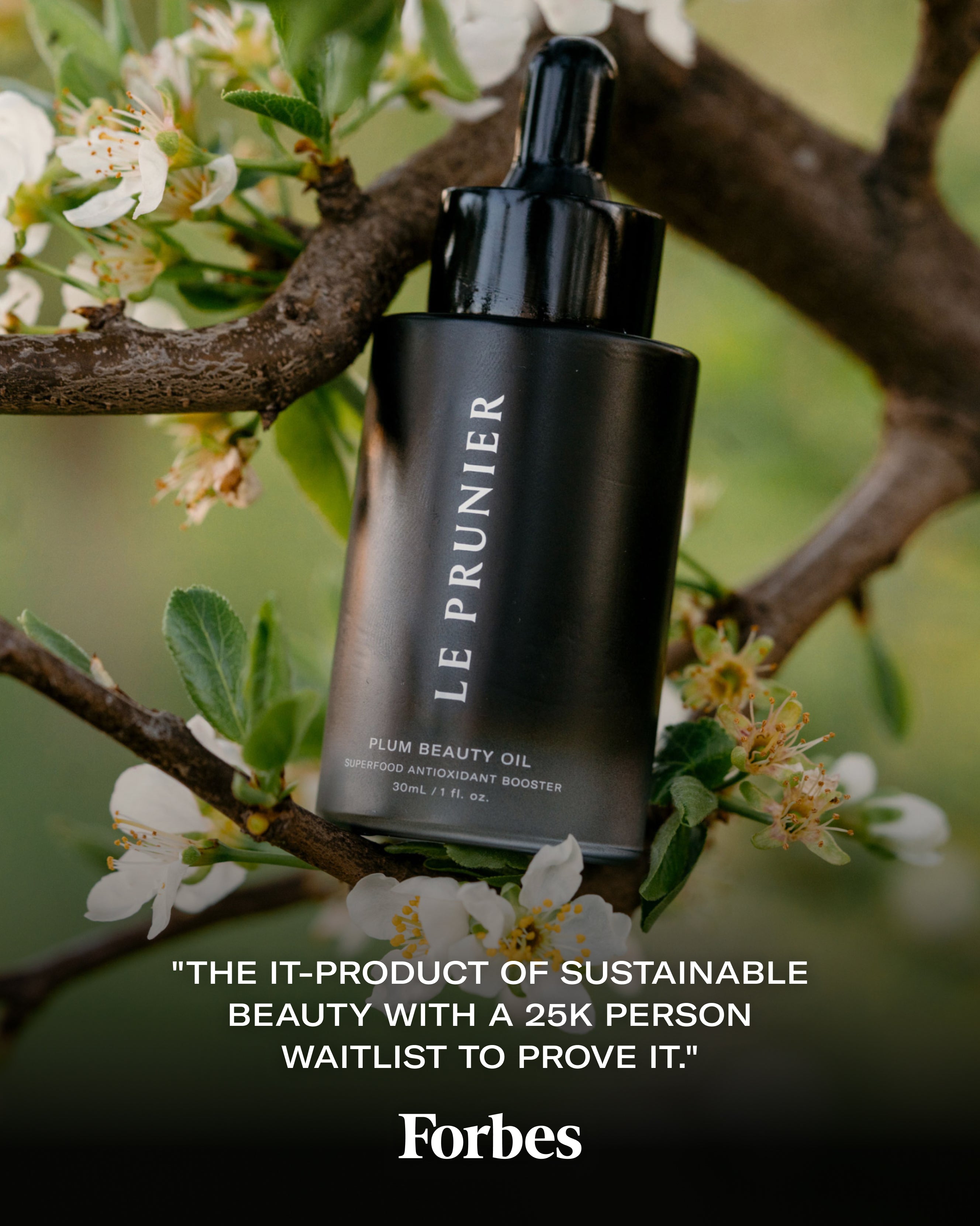 Plum Beauty Oil - 100% Natural Face & Body Moisturizer for Dry Skin | Anti-Aging & Hydrating Treatment | Perfect for Daily Skincare Routine & Night Care