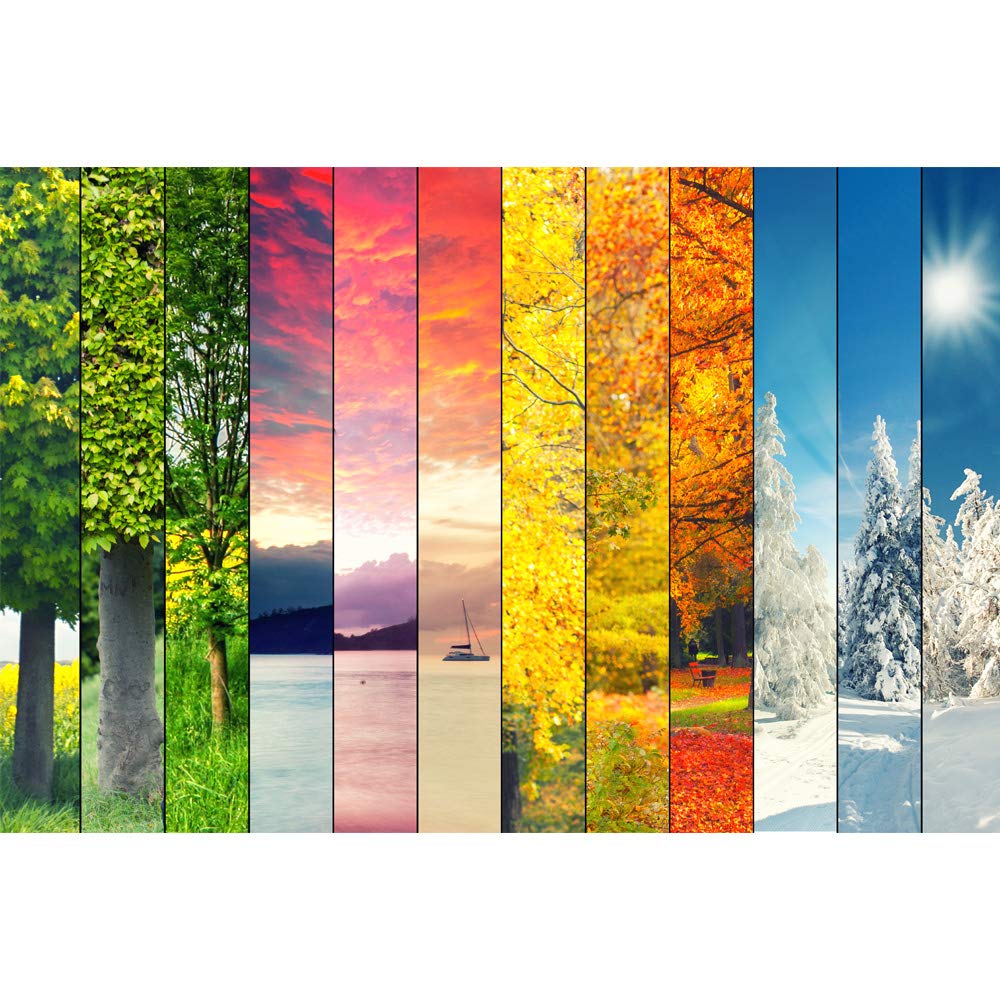 IDEA4WALL Removable Peel and Stick Wallpaper - 66x96 Inches Self-Adhesive Wall Mural for Bedroom, Living Room, Nursery - Beautiful Floral & Scenic Wall Stickers for Home Decor