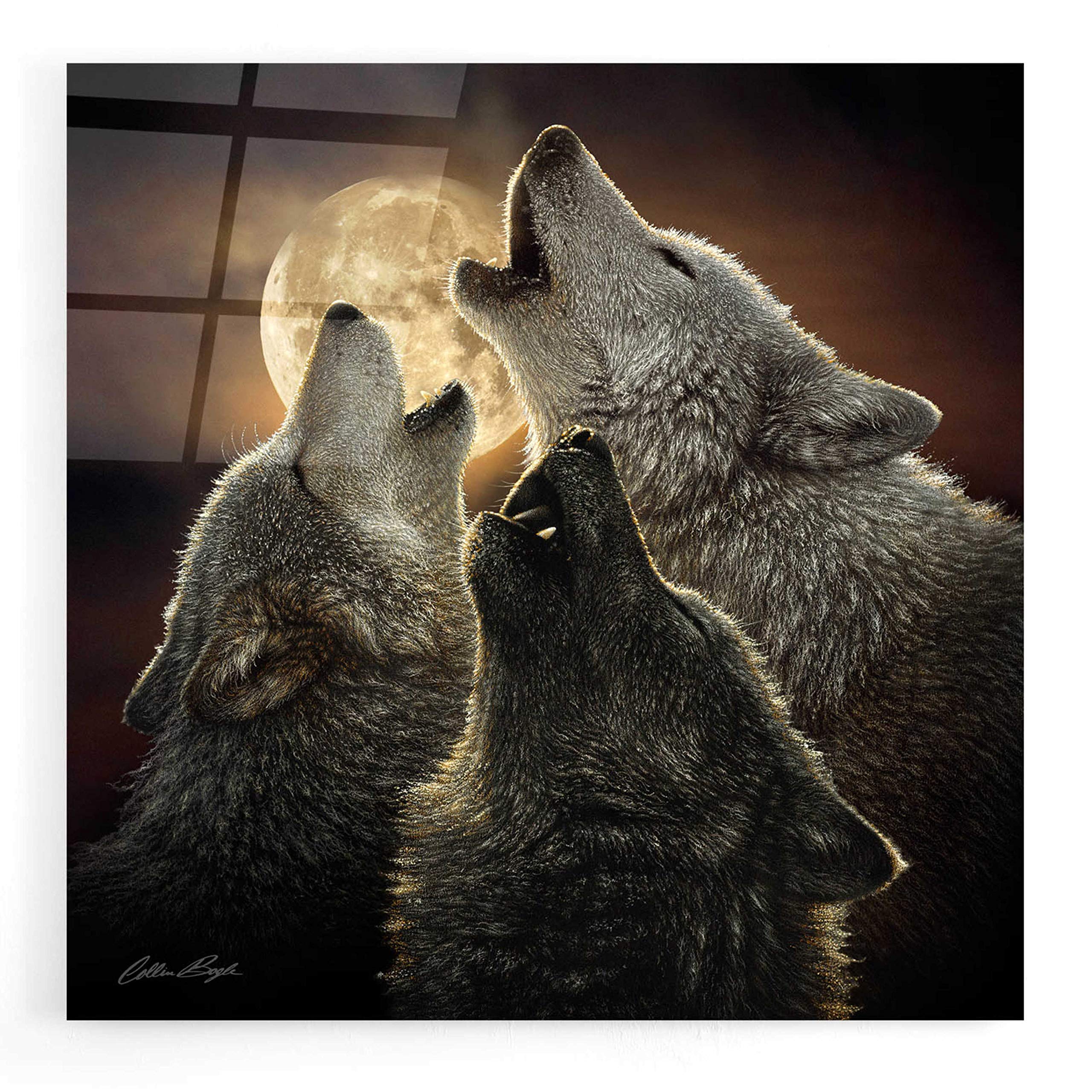 Collin Bogle 'Wolf Trinity' Acrylic Glass Wall Art - 12x12 Inches Modern Wolf Painting for Living Room, Bedroom & Office Decor