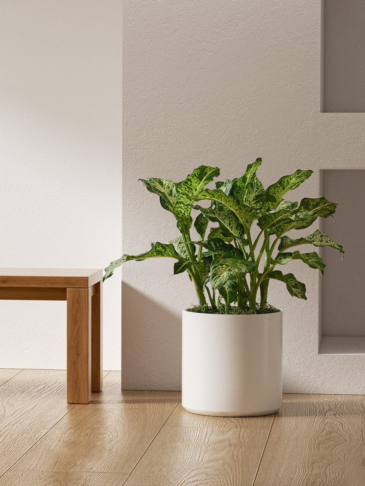 LE TAUCI 12 Inch Ceramic Planter Pot - Large Modern Indoor Plant Pot with Drainage Hole & Removable Plug - Mid-Century White Flower Pot for Home Decor, Office Plants, Living Room & Garden Decor