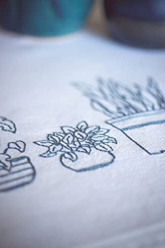 Houseplants