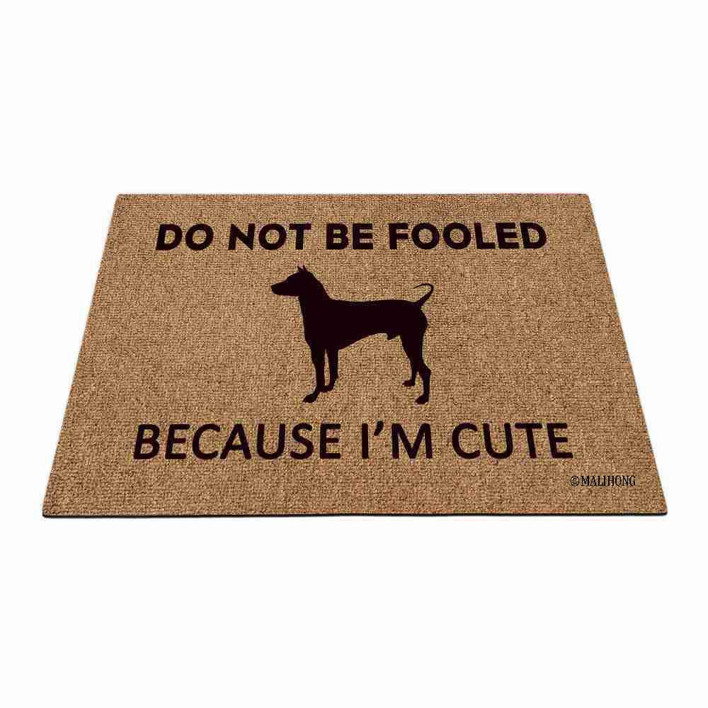Xoloitzcuintli Puppy Doormat - Funny 'Do Not Be Fooled By My Cuteness' Non-Slip Entry Mat 27.5x17.7 Inch for Front Door, Porch & Home Decor - Perfect Gift for Dog Lovers