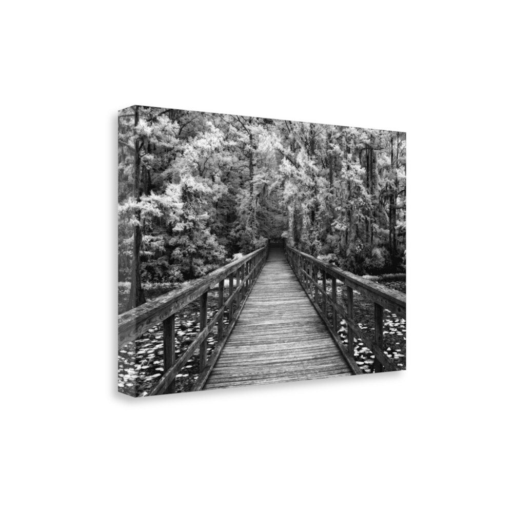 Mike Jones 'A Walk Into Tranquility' Giclee Art Print on Gallery Wrapped Canvas - Perfect for Living Room, Bedroom & Office Wall Decor