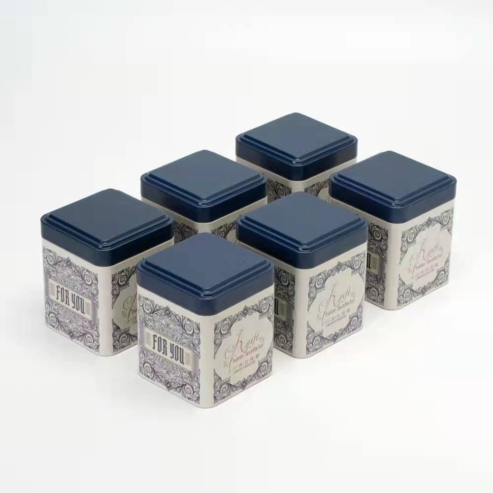 Airtight Tea Tins Canister Set - 6-Piece Blue Loose Leaf Tea Storage Containers with Single Lids for Kitchen, Coffee, Sugar & Spices | Perfect for Pantry Organization & Gift Giving