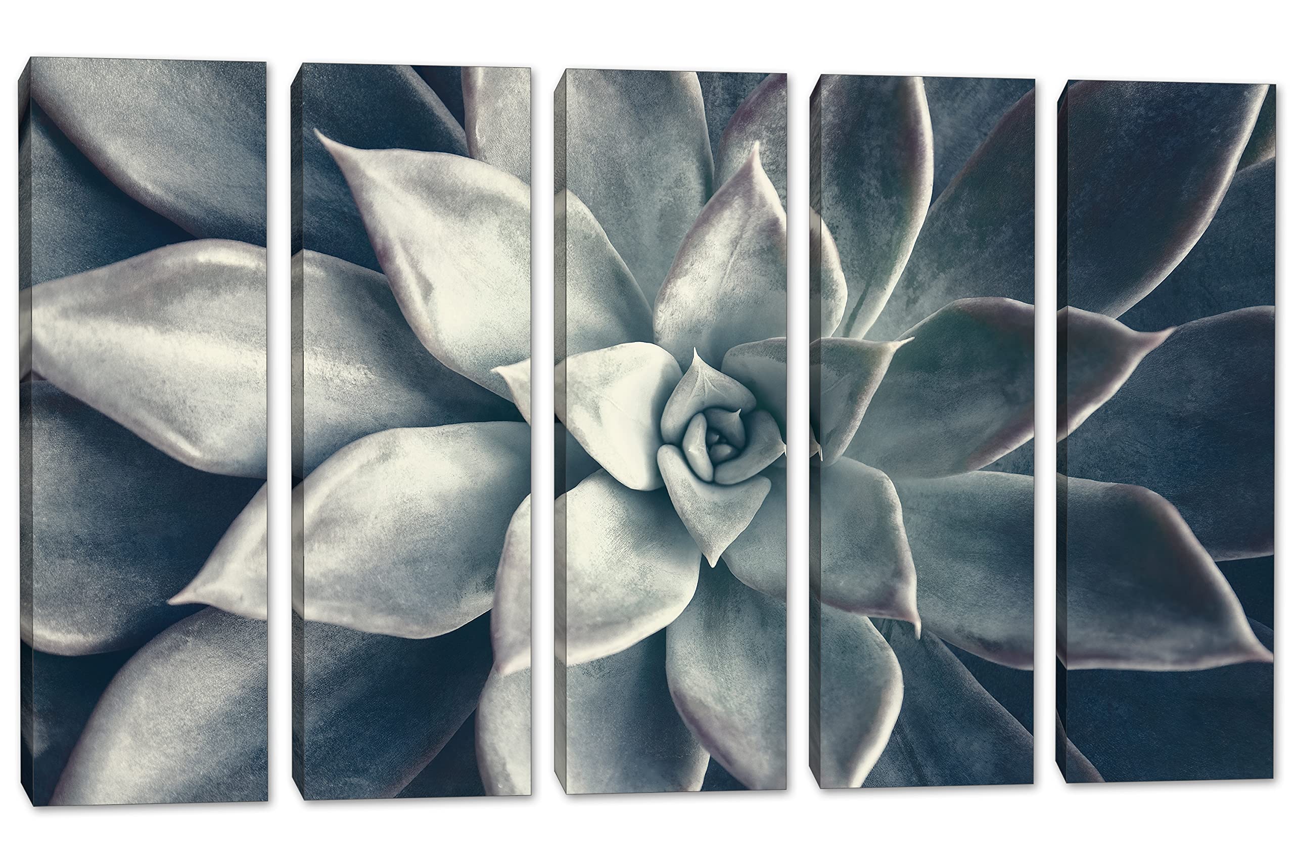 50 x 32 Inch Echeveria Succulent Canvas Wall Art - 5 Panel Split Botanical Plant Painting in Dark Teal for Living Room, Bedroom & Office Decor