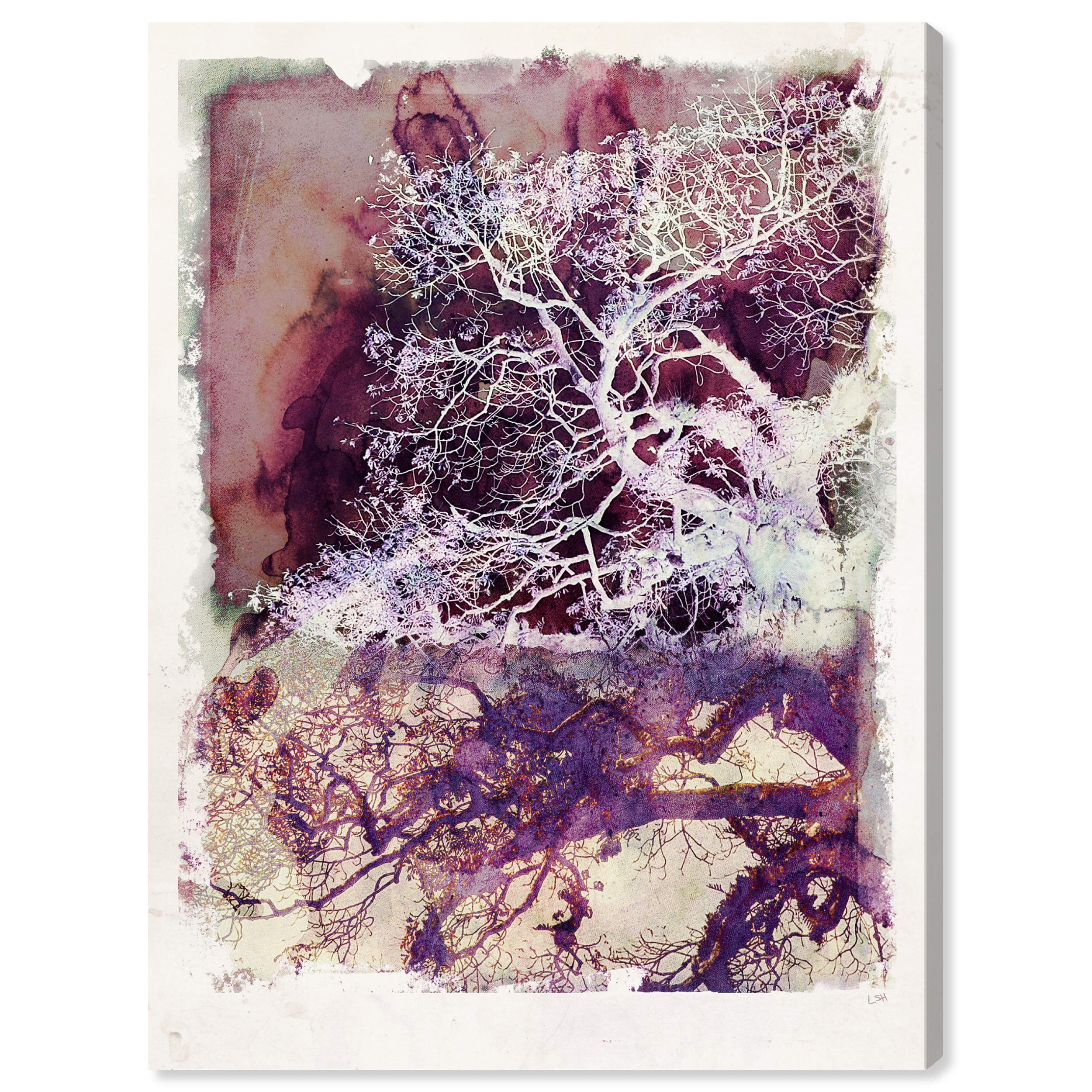 Oliver Gal Artist Co. 'Wanderer in Mauve' Botanical Wall Art Canvas Print - 13x16 Inches Purple & White Floral Home Decor - Perfect for Living Room, Bedroom & Office Wall Decoration