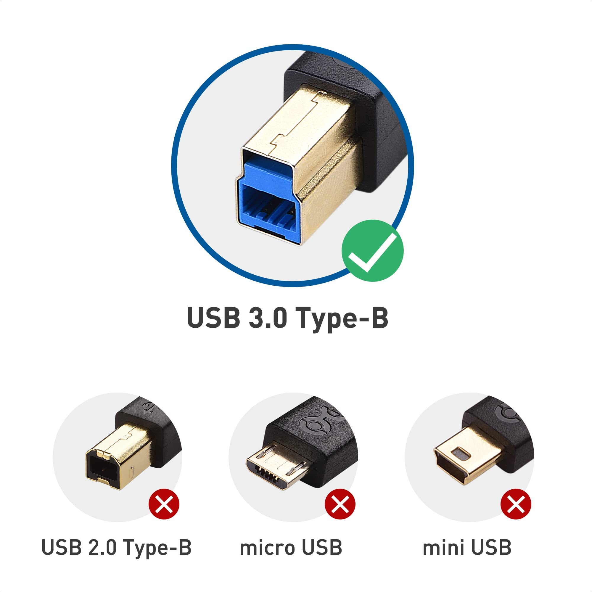 Cable Matters USB-C to USB B 3.1 Gen 2 Cable (6.6ft Black) & USB C to USB Adapter - High Speed Data Transfer for Printers, Scanners, Audio Interfaces & Studio Equipment