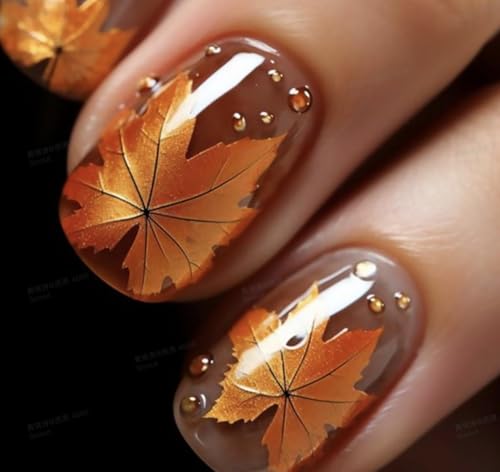 maple leaf
