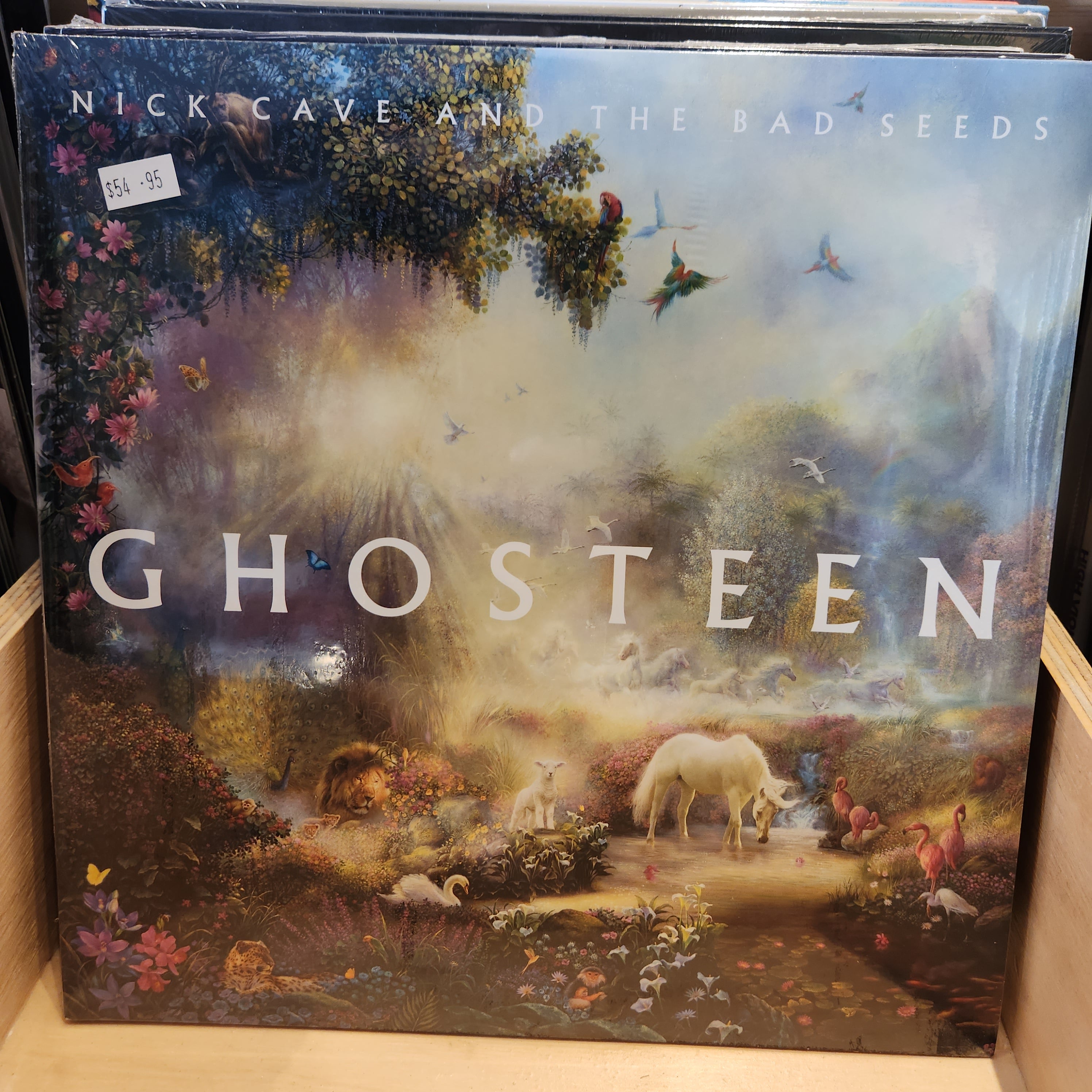 Nick Cave & the Bad Seeds Ghosteen Vinyl LP Record - Limited Edition Collector's Album for Music Enthusiasts | Perfect for Home Listening, Gifts & Vinyl Collections