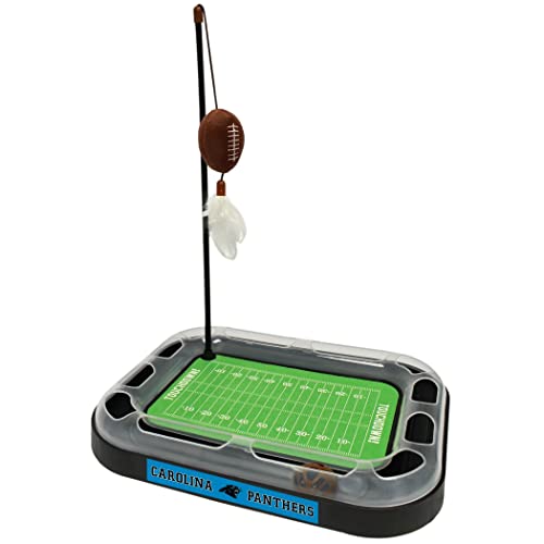 Carolina Panthers
