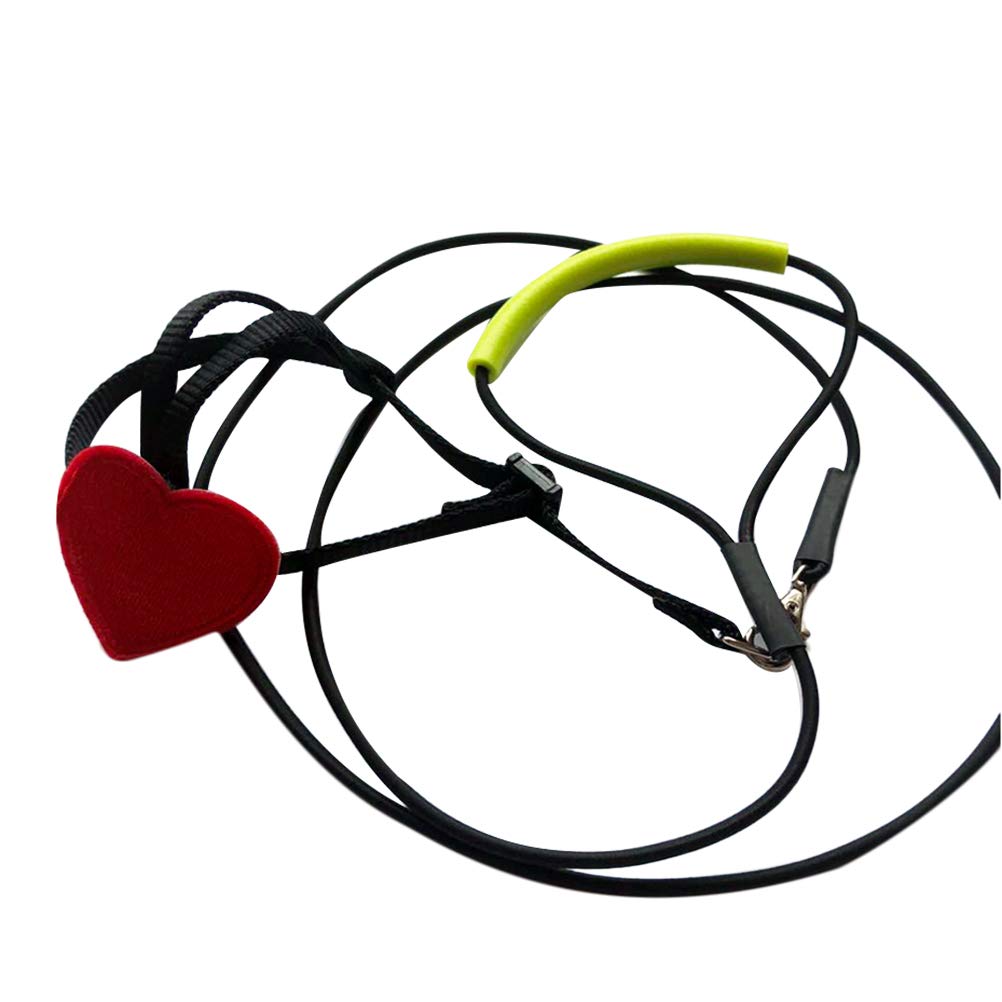 Premium Parrot Flying Rope Harness - Adjustable Bird Leash for Training & Outdoor Adventures - XS Size for Small Birds - Perfect for Parakeets, Cockatiels & Conures - Safe & Comfortable Pet Bird Supplies