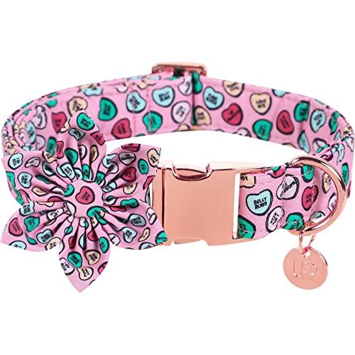 Colorful Hearts F