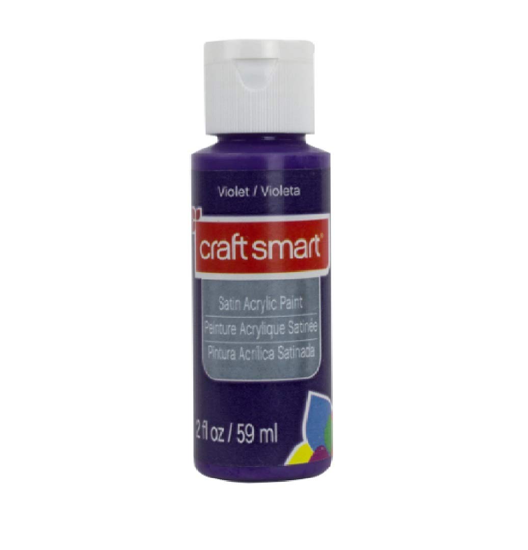 Craft Smart 2 oz Satin Acrylic Paint - Violet | Premium Non-Toxic Art Supplies for Canvas, Wood & Fabric Painting | Perfect for DIY Crafts, Home Decor & School Projects