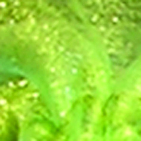 Light Green Sheer Organza Tall Tie Gift Bags - 12.5 Inch Elegant Wedding Favors & Party Decorations | Perfect for Bridal Showers, Baby Showers, Christmas Stocking Stuffers & Corporate Events | Great for DIY Crafts, Holiday Gift Wrapping & Special Occasion Presentations | Ideal for Wedding Party Decor, Birthday Gifts, Baby Shower Favors & Christmas Gift Bags