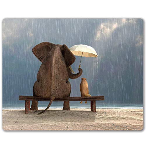 Elephant and dog