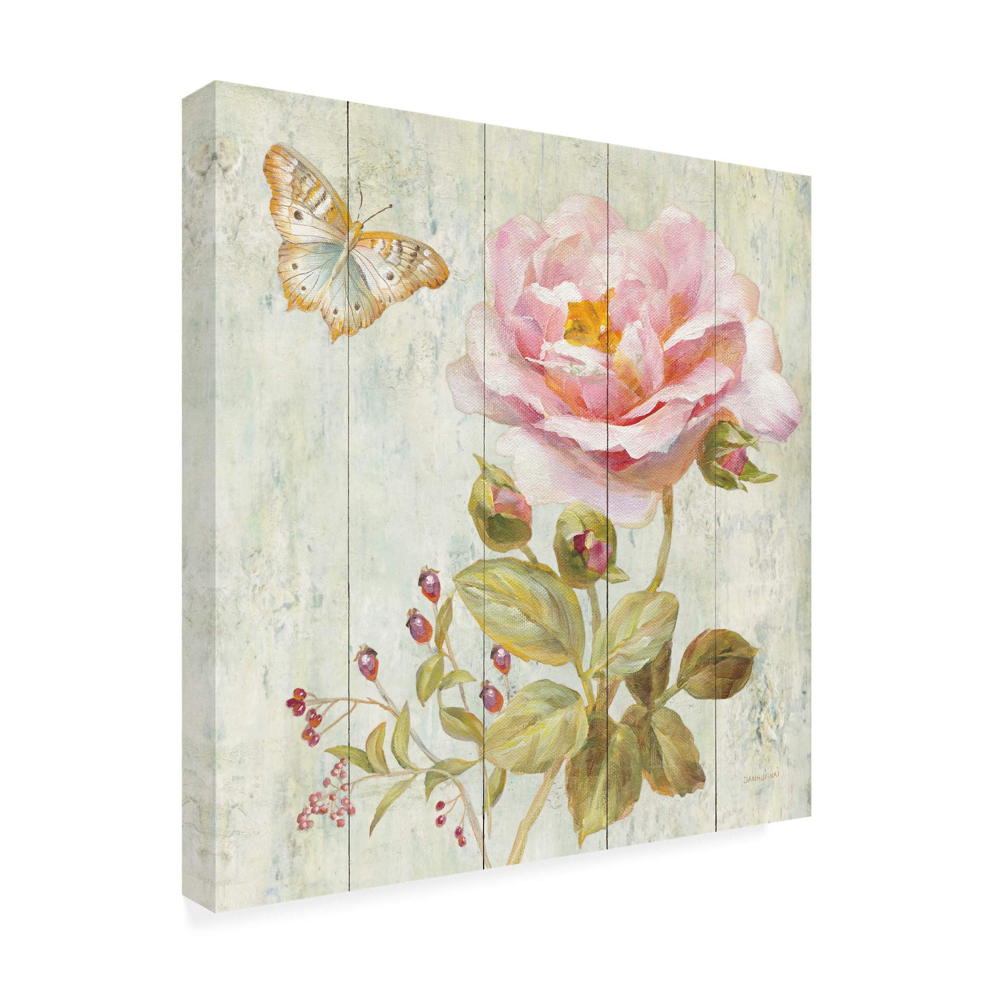 Danhui NAI Natural Flora II Canvas Art Print - 18x18 Inch Wall Decor for Living Room, Bedroom & Office | Trademark Fine Art Collection