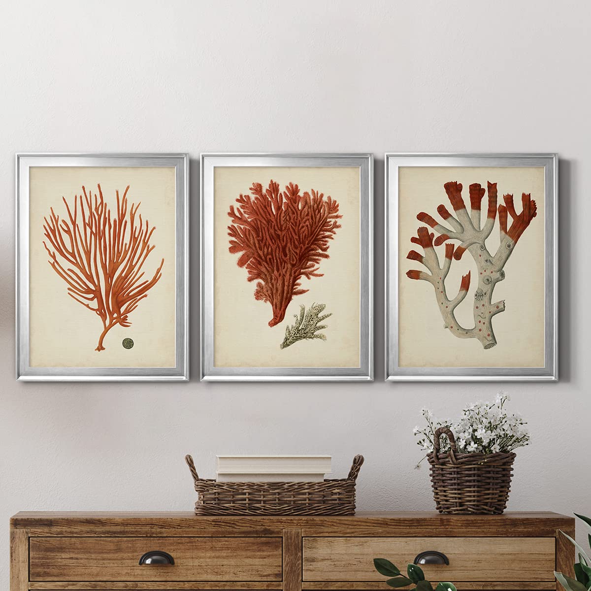 Red Coral IV Silver Framed Canvas Wall Art - 3 Piece Set (22x30 Inches Each) - Modern & Traditional Home Décor for Living Room, Bedroom, Office | Antique Style Travel-Inspired Artwork