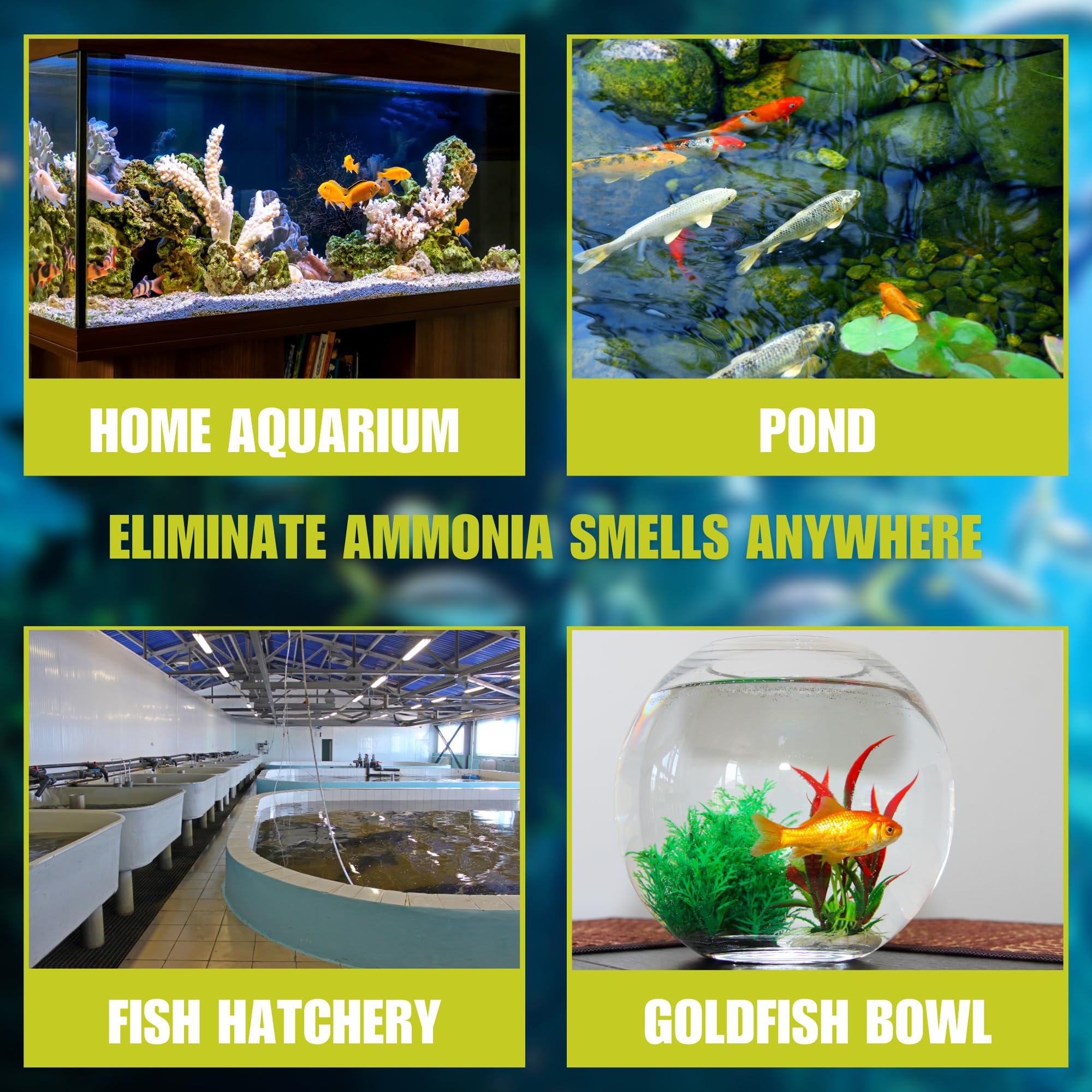 Natural Aquarium Ammonia Control Filter Media - 50 lb. for Freshwater & Saltwater Fish Tanks - Removes Harmful Toxins, Improves Water Clarity - Ideal for Aquarium Filters, Sump Systems & Pond Maintenance