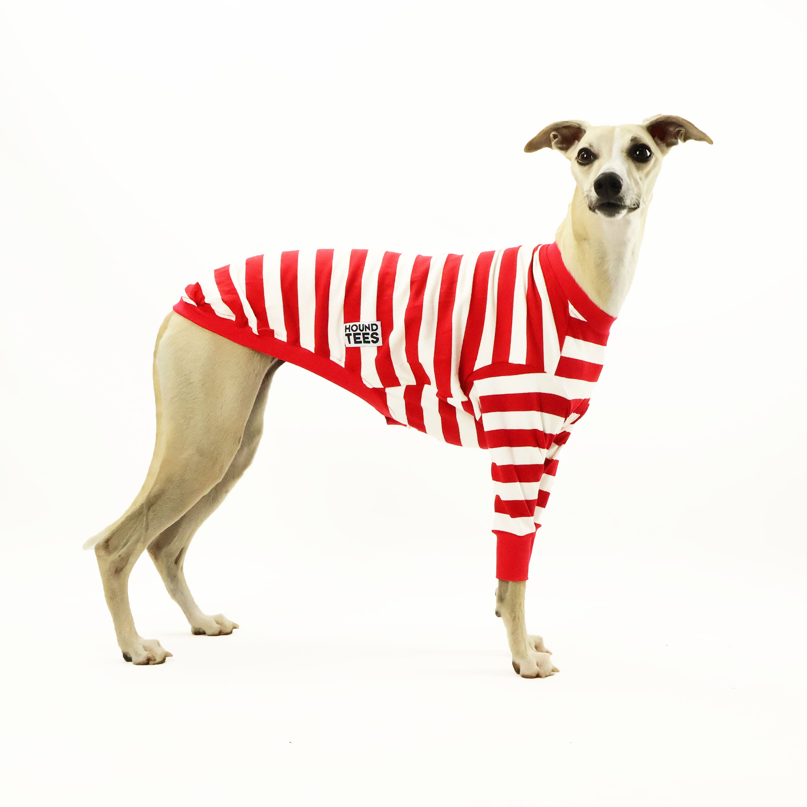 Wally Whippet Long Sleeve Hound T-Shirt for Men & Women - Comfortable Cotton Dog Lover Apparel for Casual Wear & Outdoor Activities