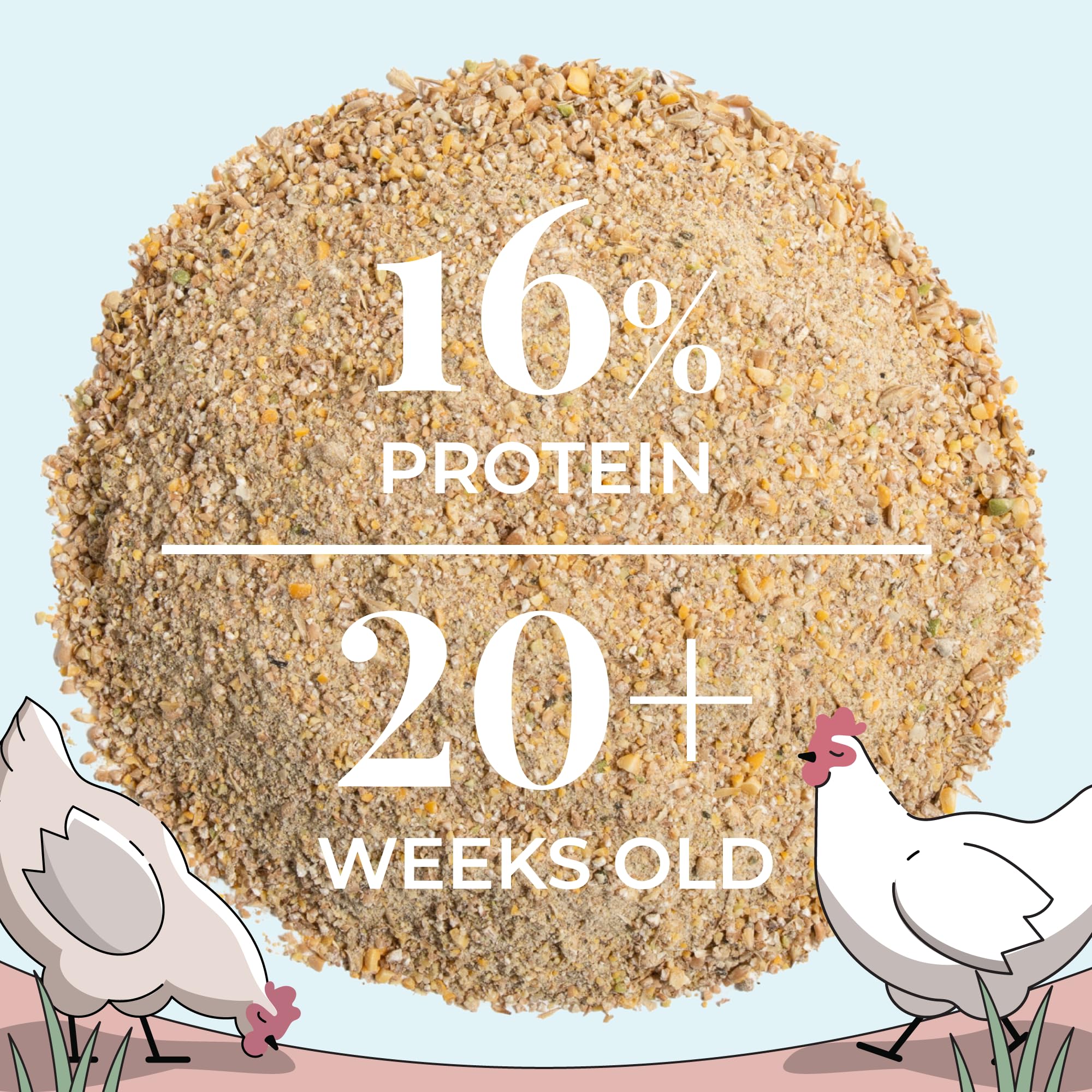 Organic Non-GMO Chicken Feed - USA Grown Layer Mash with 16% Protein, Corn-Free & Soy-Free, Non-Medicated Poultry Feed (46 lbs) - Perfect for Backyard Chickens, Egg Production & Healthy Flock Nutrition