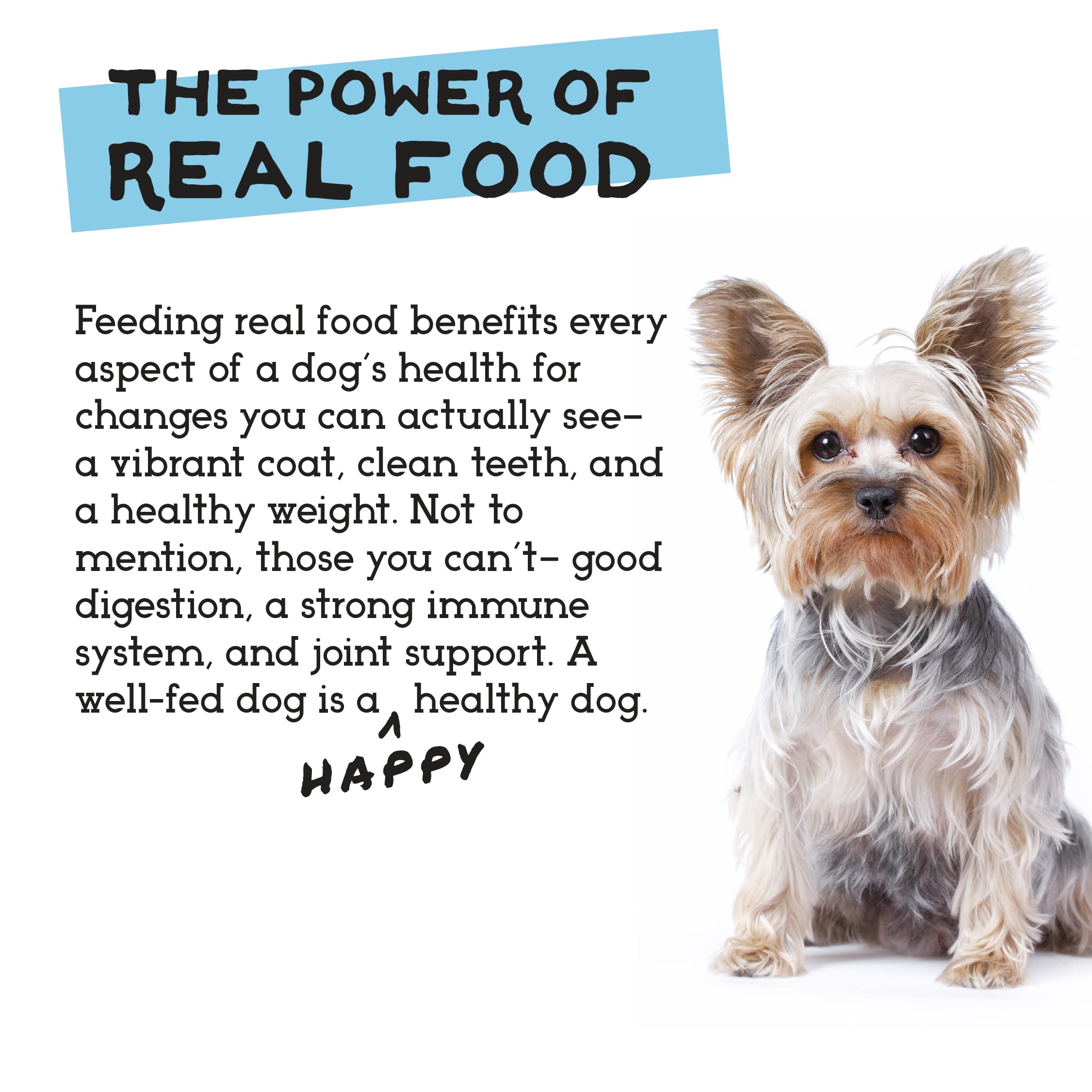 Premium Freeze-Dried Raw Dog Food - Duck & Trout Recipe - Grain-Free, High Protein - 48oz for Small & Large Breeds - Perfect for Travel, Hiking & Training Treats