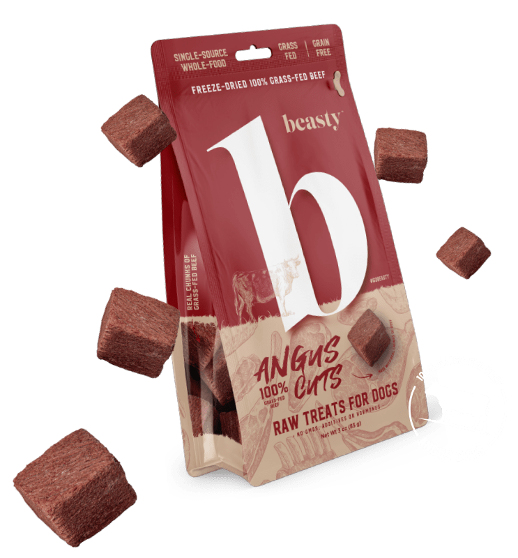 Premium Freeze-Dried Angus Beef Dog Treats - High Protein, Grain-Free, All-Natural - Perfect for Training, Rewards & Dental Health