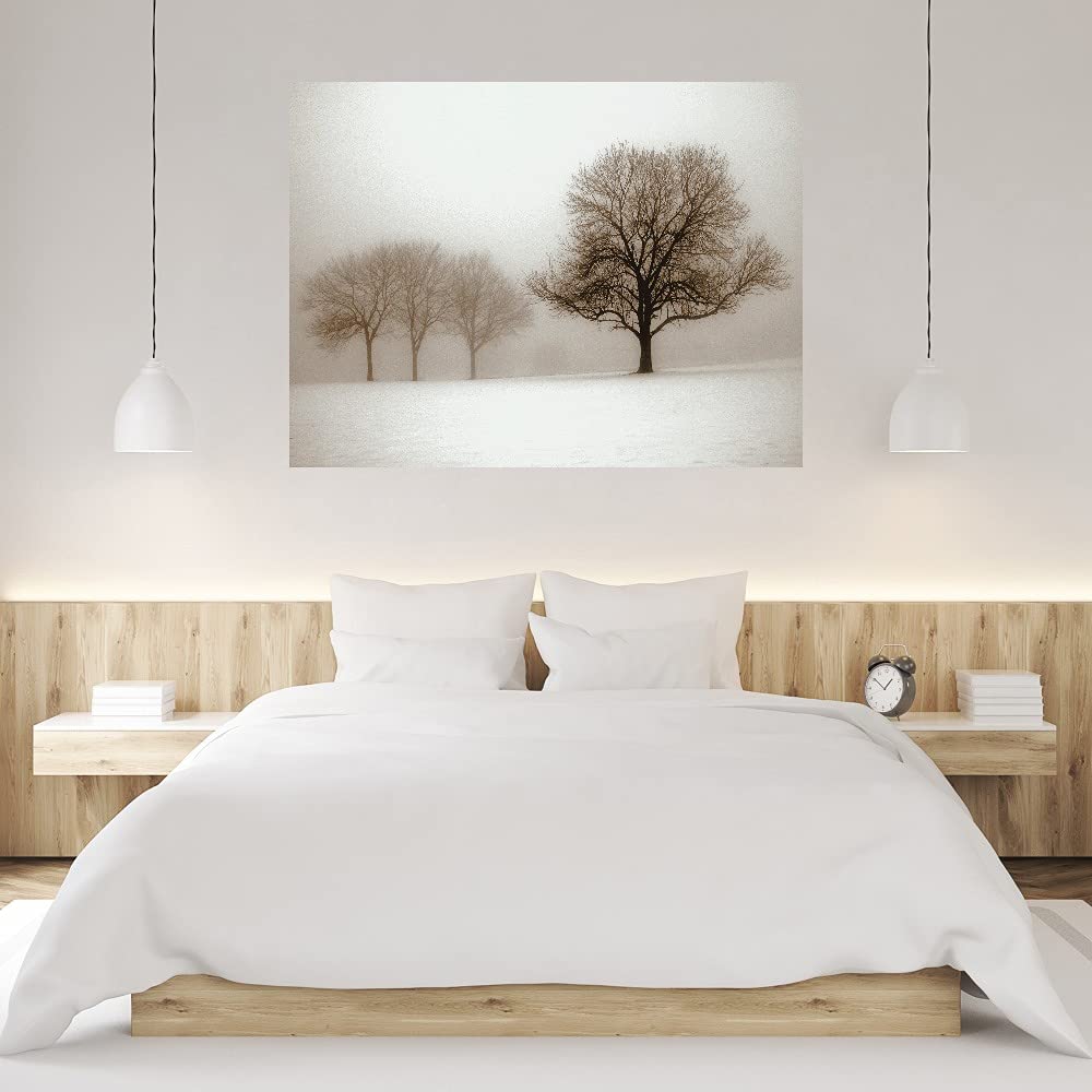 Ilona Wellmann Winter Sun Sepia Fine Art Canvas Print - 46x35 Inch Ready to Hang Wall Decor for Living Room, Bedroom, Office & More - Perfect for Home, Office & Commercial Spaces