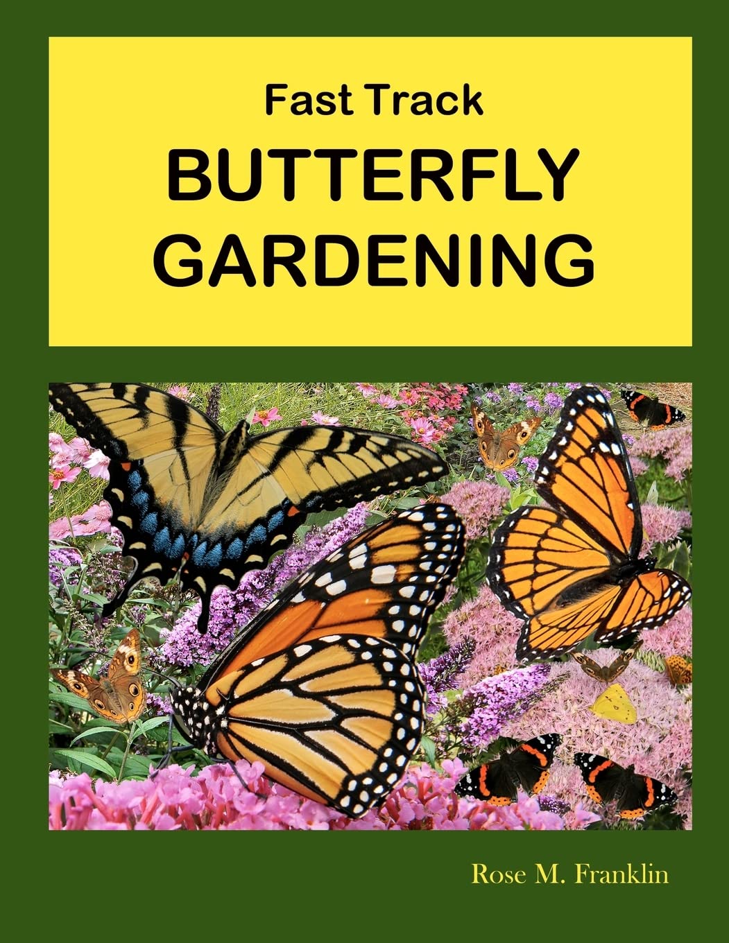 Butterfly Gardening Kit - Fast Growing Plants & Seeds to Attract Butterflies - Perfect for Backyard, Patio, and Pollinator Gardens