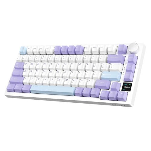 Purple(Gift Switch)