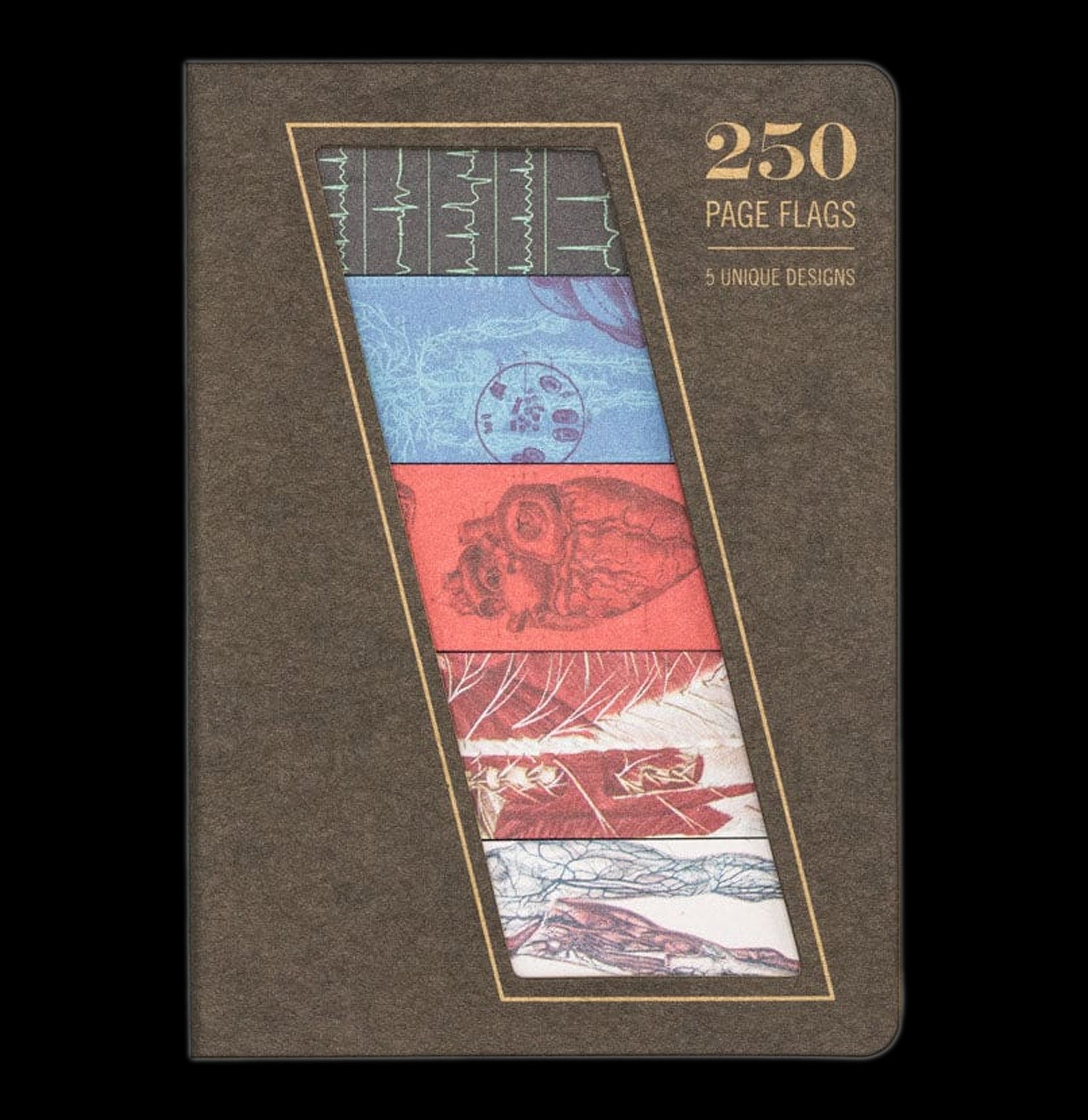 Color-Coded Anatomy Page Flags - 500 Self-Stick Index Tabs for Medical Students & Nursing Study - Perfect for Textbooks, Notebooks & Reference Books