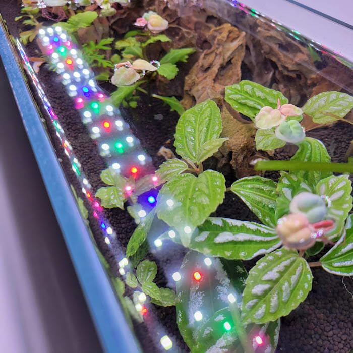 Lifegard Aquatics Full Spectrum LED Aquarium Light for Planted Tanks & Coral Reefs - Energy Efficient Fish Tank Lighting for Freshwater & Saltwater Aquariums