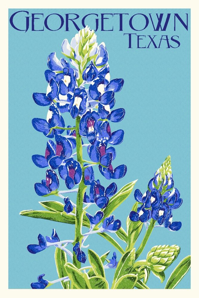Texas Bluebonnet Letterpress Art - 16x24 Gallery Quality Metal Wall Decor for Home & Office - Georgetown Inspired Aluminum Artwork for Living Room, Bedroom, or Office Spaces