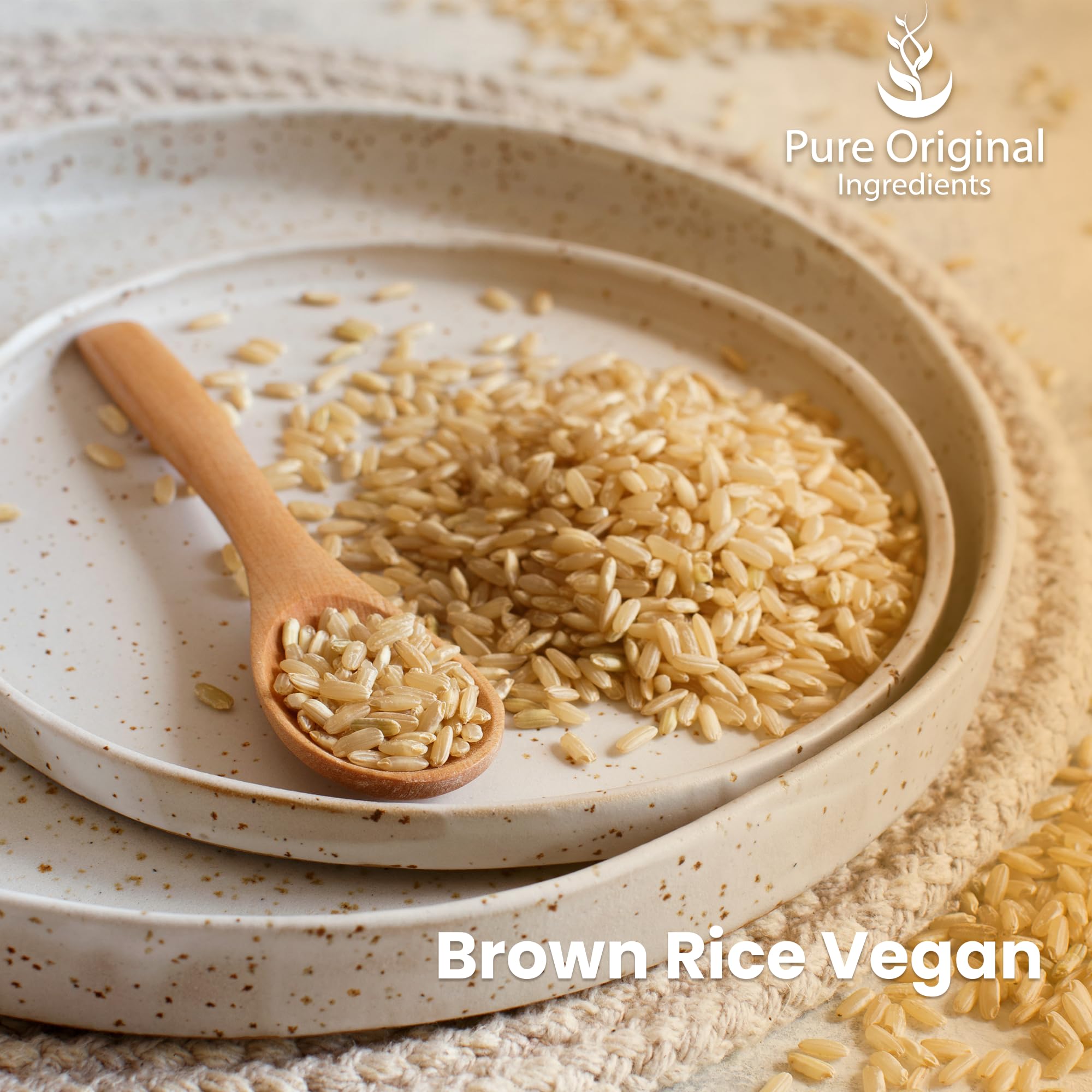 PURE ORIGINAL INGREDIENTS Organic Brown Rice Protein Powder (1 lb) - Vegan, Gluten Free, Non-GMO, Sprouted Brown Rice for Smoothies, Shakes & Post-Workout Recovery - Perfect for Athletes & Health Enthusiasts