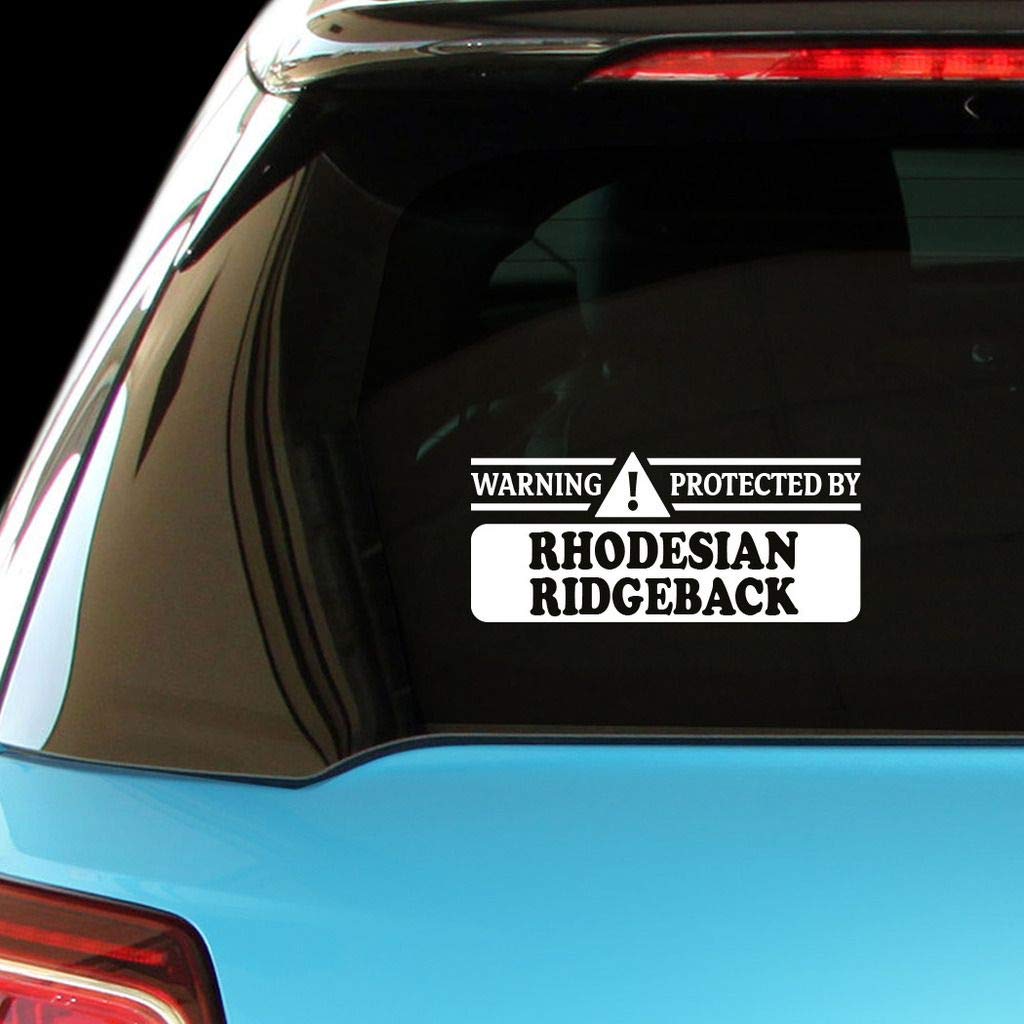 Rhodesian Ridgeback Dog Car & Laptop Decal Sticker - Durable Vinyl Protective Decoration for Vehicles, Windows, Walls & Tech Devices | Perfect for Pet Lovers & Home Office Decor