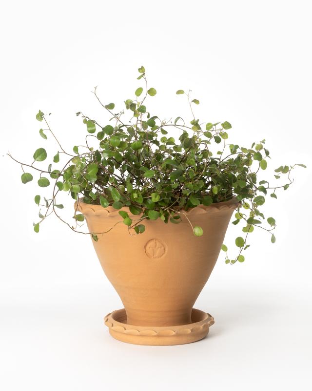 Kruka Sturehof Adelcrantz 17cm Ceramic Flower Pot - Perfect for Indoor Plants, Succulents, and Home Decor